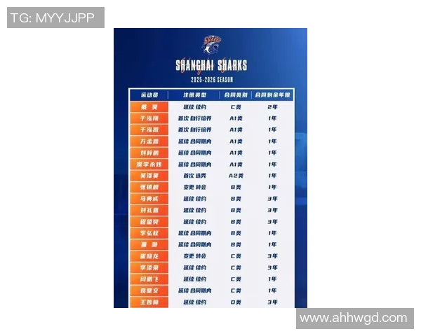上海篮球队引领潮流最新篮球比赛经验TOP10全面解析