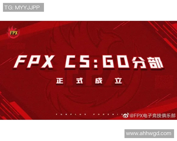 最新CSGO心理素质排行榜揭晓FPX战队稳居第一名 最新CSGO心理素质排行榜揭晓FPX战队稳居第一名