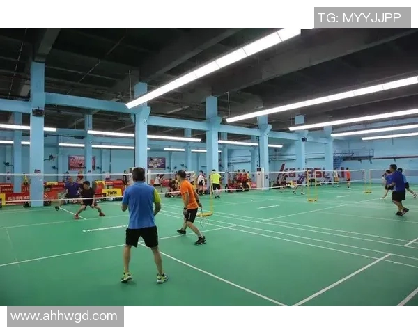 深圳羽毛球队的深度解析与控制策略探讨 深圳羽毛球队的深度解析与控制策略探讨