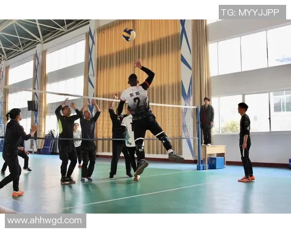 赵娜独家分享排球心得与技巧助你提升球技和比赛表现 赵娜独家分享排球心得与技巧助你提升球技和比赛表现