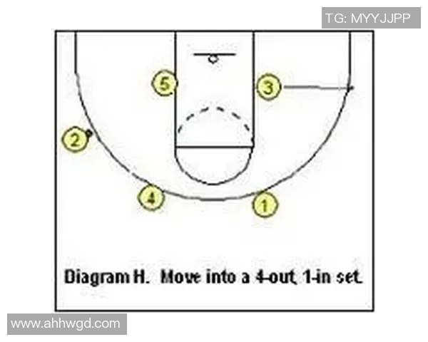 成都排球队快攻战术解析与实战应用探讨