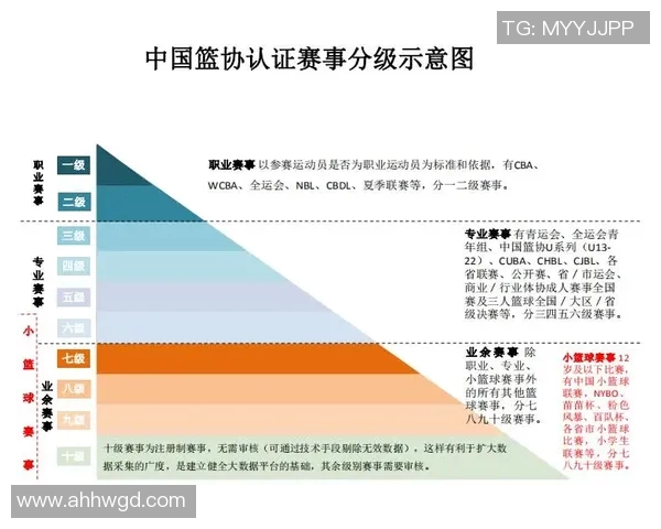 重磅专题：探讨成都篮球队在盯防战术上的创新与发展动态