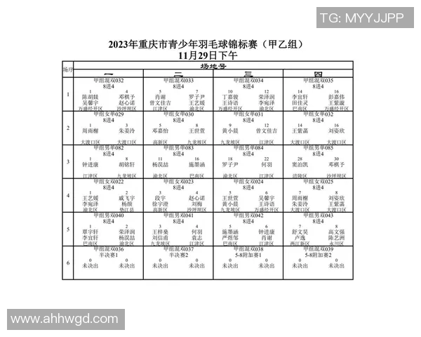 重庆羽毛球队进攻策略分析与比赛表现的得失总结 重庆羽毛球队进攻策略分析与比赛表现的得失总结