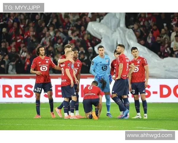 拜仁慕尼黑对阵马德里竞技精彩回播全场回顾与分析