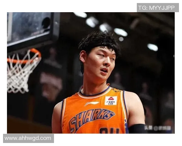 王哲林在CBA赛场的崛起与挑战:从新星到球队核心的成长之路 王哲林在CBA赛场的崛起与挑战:从新星到球队核心的成长之路