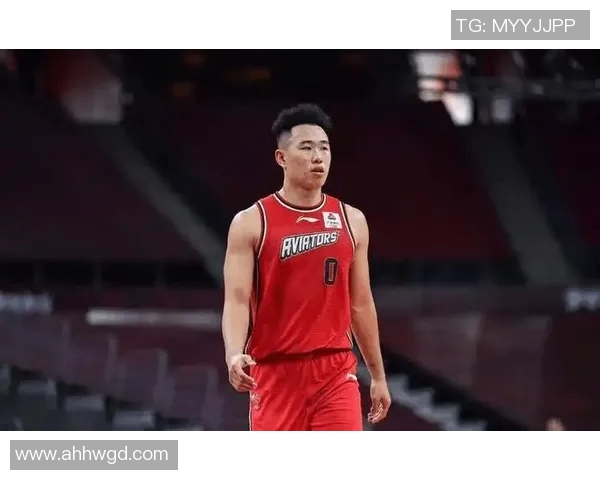 贺希宁：从篮球新星到职业生涯巅峰的成长之路与奋斗故事