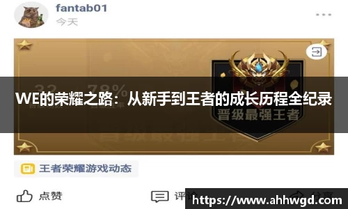 WE的荣耀之路：从新手到王者的成长历程全纪录