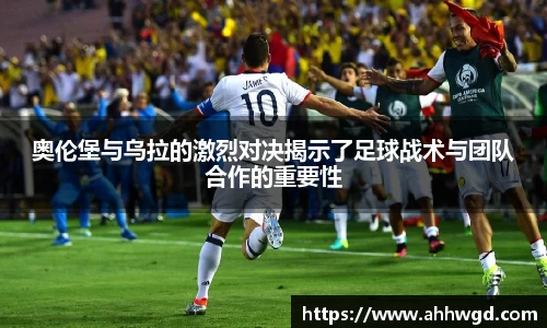 好博体育app下载